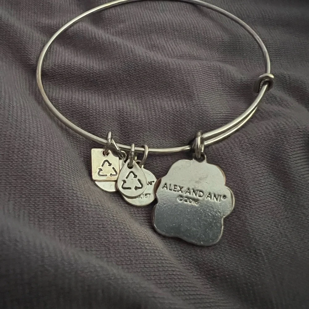 Alex & Ani Silver Charm Bangle Bracelet - Picture 2 of 2